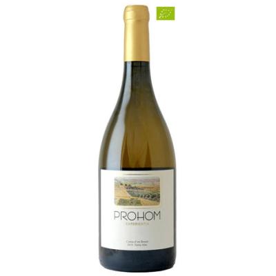 Prohom Experientia Blanco 2024 - Garnacha Blanca ∧ Viognier - 75CL - 14% Vol.