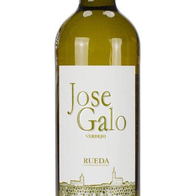 Jose Galo Rueda Verdejo